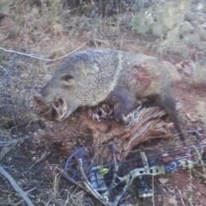 Meet your Posher, Stephen